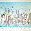 Birds in the Bible: Psalm 104:12 by Benn