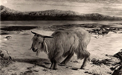 Ways in the Wilderness: The Scapegoat by William Holman Hunt